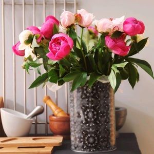 Meet your Posher, Lia